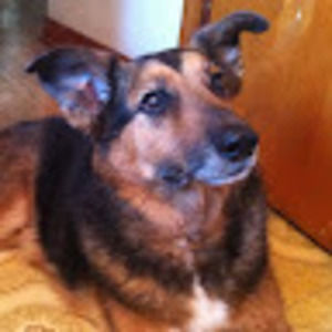 Meet your Posher, Adalinda